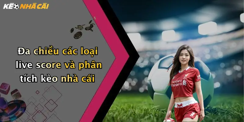 Đa chiều các loại live score và phân tích kèo nhà cái