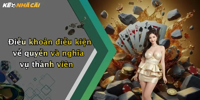 Điều khoản điều kiện về quyền và nghĩa vụ thành viên
