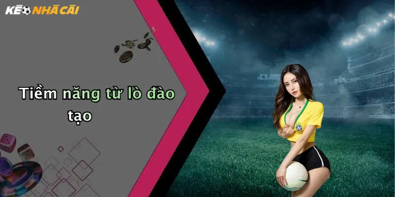 Tiềm năng từ lò đào tạo