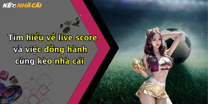 Tìm hiểu về live score và việc đồng hành cùng kèo nhà cái