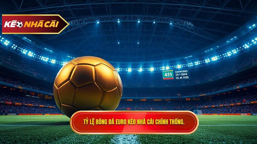 Tỷ lệ bóng đá euro