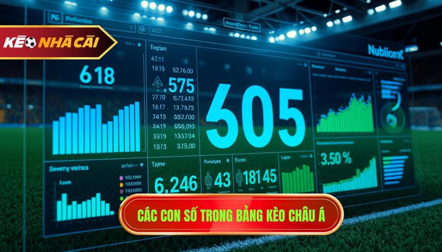 2. Các con số trong bảng kèo châu Á