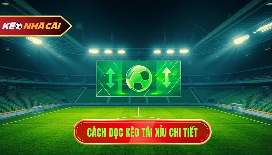 3. Cách đọc kèo Tài Xỉu chi tiết